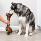 Husky taking a large smoked dinosaur marrow bone from a person’s hand in a bright indoor room