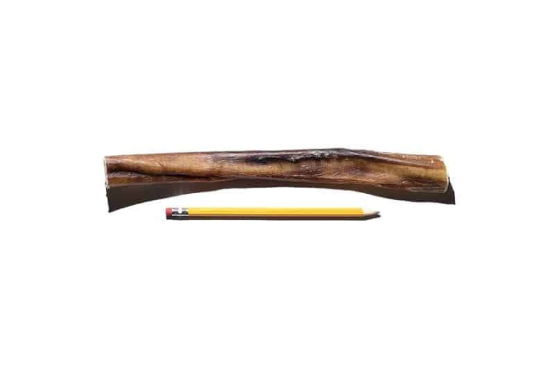 Side view of a 10-12 inch Monster USA bully stick showing jumbo size and texture with a pencil for scale on white background