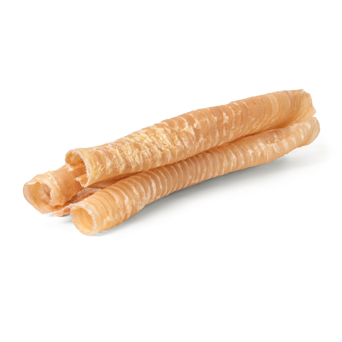 Angled close-up of two beef trachea chews showcasing ridged texture and hollow center on white background