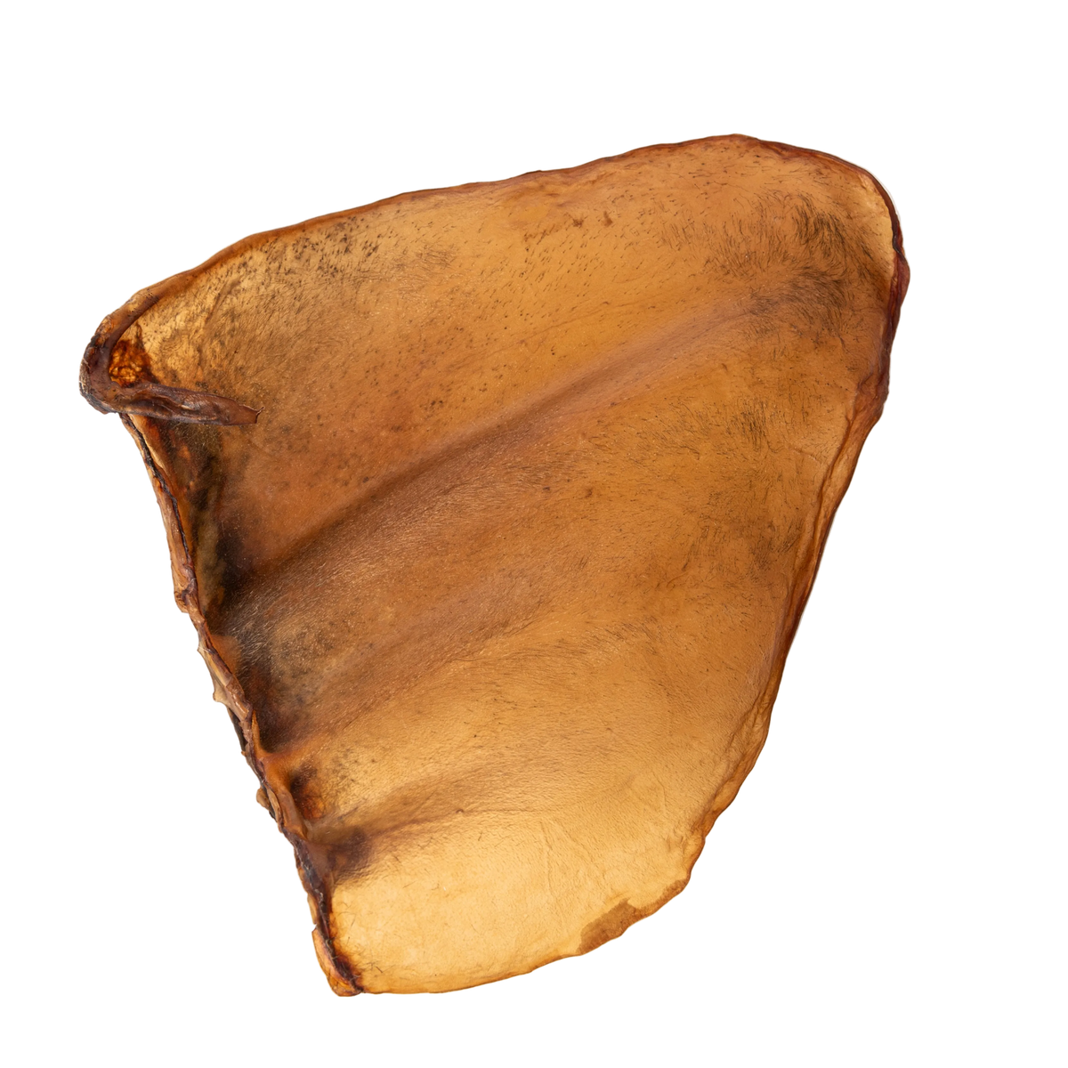 Cow Ears