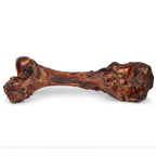 Close-up of Smoked Dinosaur Bones showing thick marrow and smoked beef knuckle exterior on white background