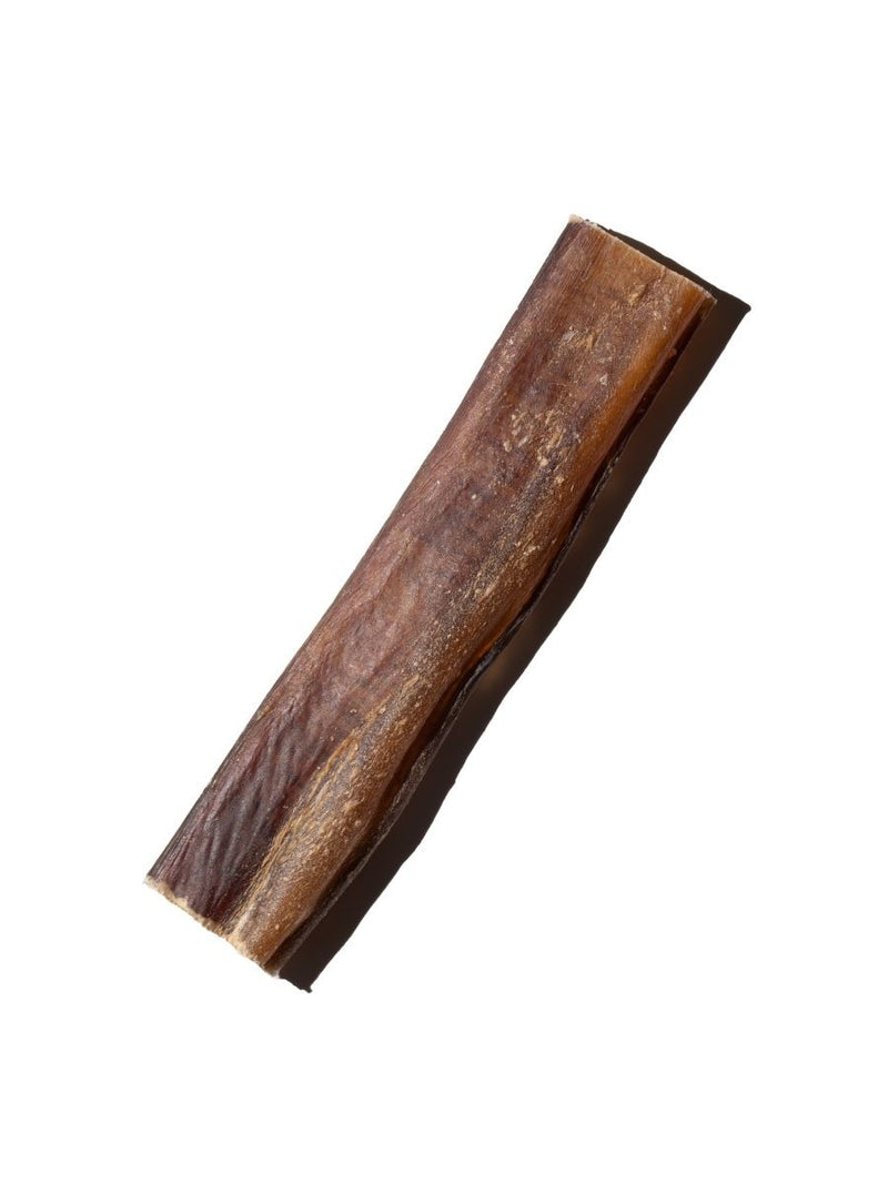 Angled view of Monster USA 5”–7” bully stick showing a thick single-ingredient dried beef chew on a white background
