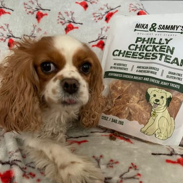 Philly Chicken Cheese