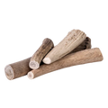 American Elk Antlers