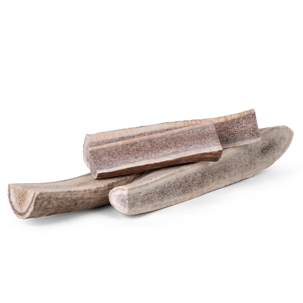 Front view of split American elk antlers showcasing exposed marrow with white background