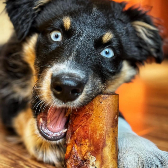 Smoked Beef Marrow Bone