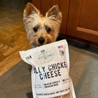 Philly Chicken Cheese