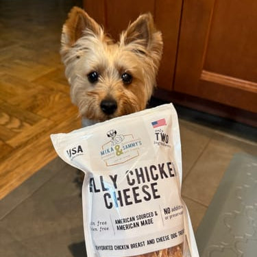 Philly Chicken Cheese