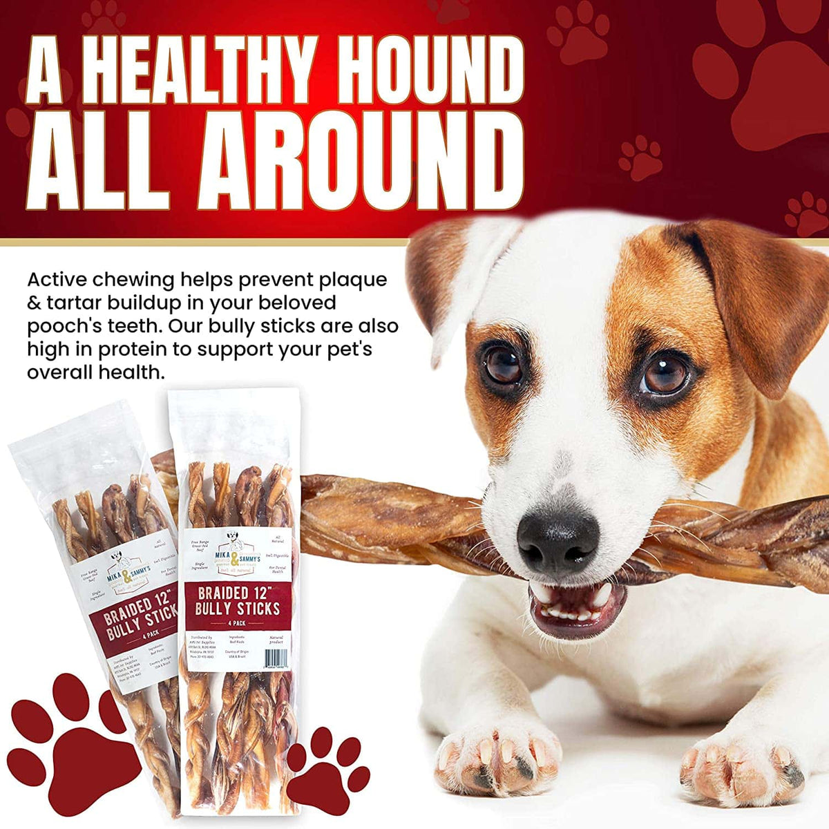 Close-up of 12-inch monster braided bully stick showing three-strand braid and beef chew texture on white background