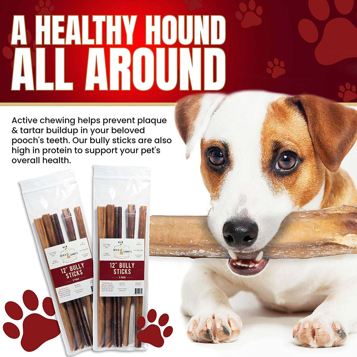 Front view of jumbo 6-inch bully stick showcasing thick diameter and baked natural texture on white background