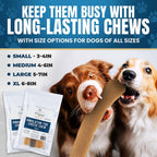 Close-up of Himalayan yak cheese chew sticks showcasing hard, long-lasting texture on white background