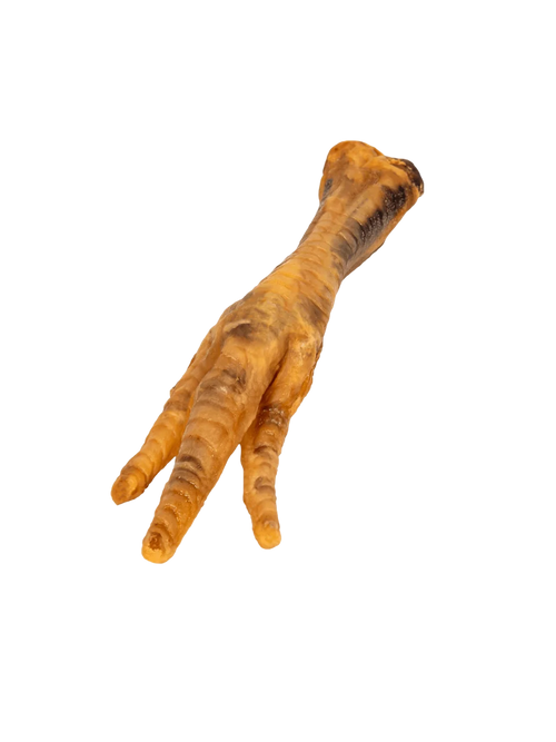 Close-up of a smoked chicken foot treat showcasing its golden-brown texture with a black background