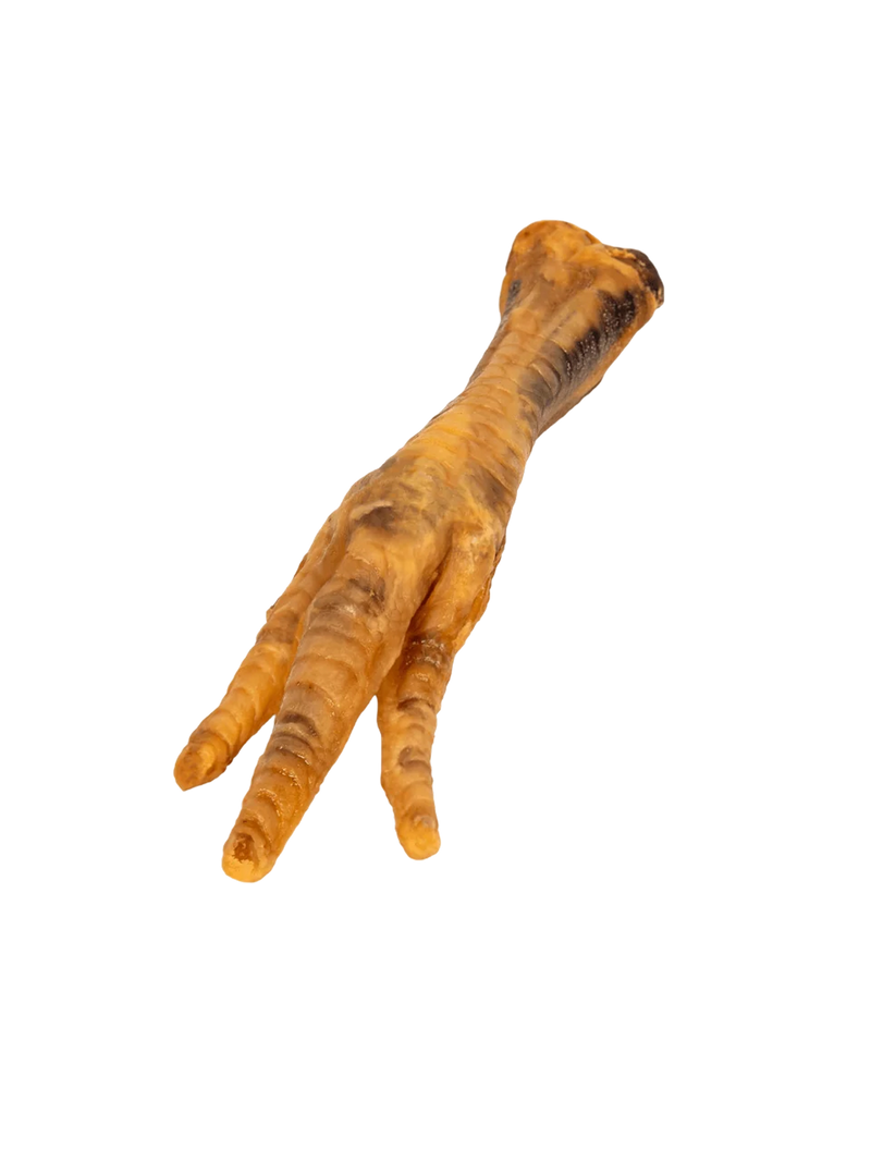 Close-up of a smoked chicken foot treat showcasing its golden-brown texture with a black background