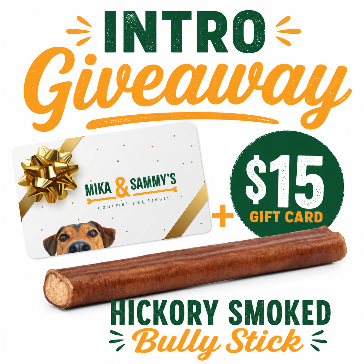 Promotional banner showing ‘Intro Giveaway’ offering a 15 dollar gift card plus a hickory smoked bully stick