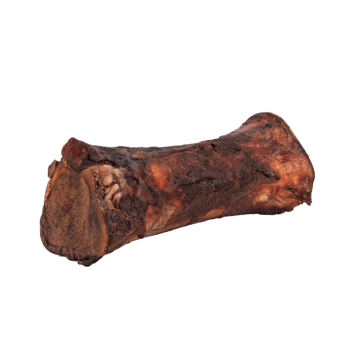 Angled view of a smoked beef marrow bone showing its browned smoked exterior and exposed marrow on a transparent background