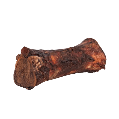 Angled view of a smoked beef marrow bone showing its browned smoked exterior and exposed marrow on a transparent background