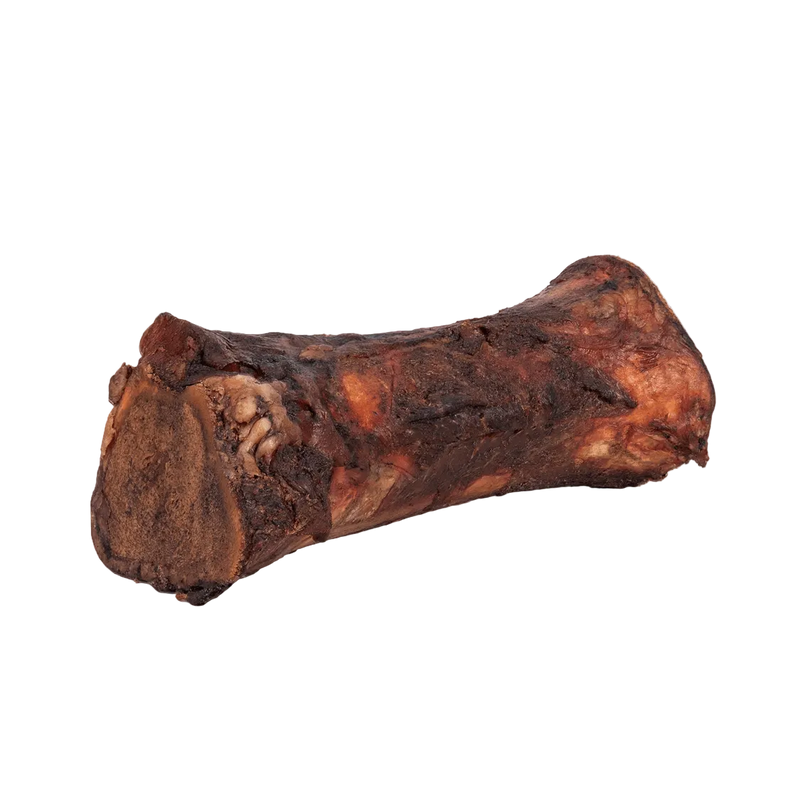 Angled view of a smoked beef marrow bone showing its browned smoked exterior and exposed marrow on a transparent background