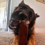 Smoked Beef Marrow Bone